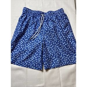 Lands End Mens Blue Palm Tree Patterned Swim Trunk